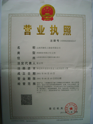 Company business license